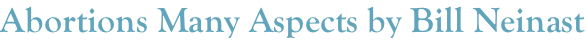 shapeimage_2_link_15