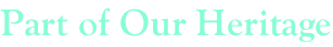 shapeimage_2_link_165