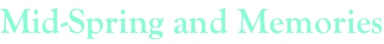 shapeimage_2_link_202