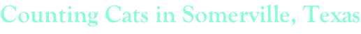 shapeimage_2_link_259