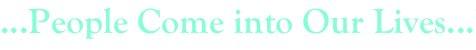 shapeimage_2_link_263