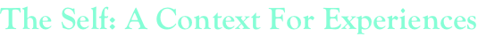 shapeimage_2_link_340