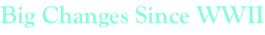shapeimage_2_link_342