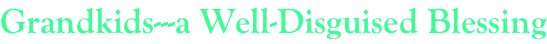 shapeimage_2_link_381