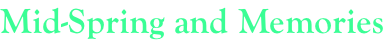 shapeimage_2_link_387