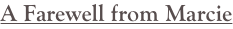 shapeimage_1_link_13