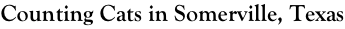shapeimage_1_link_53