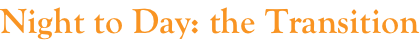shapeimage_2_link_4